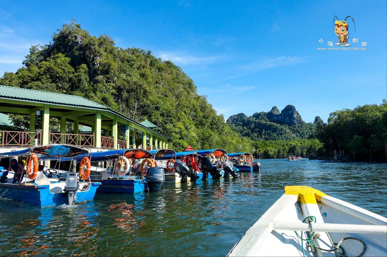 Jelajahi Keindahan Hutan Mangrove Langkawi: Tur yang Mengagumkan